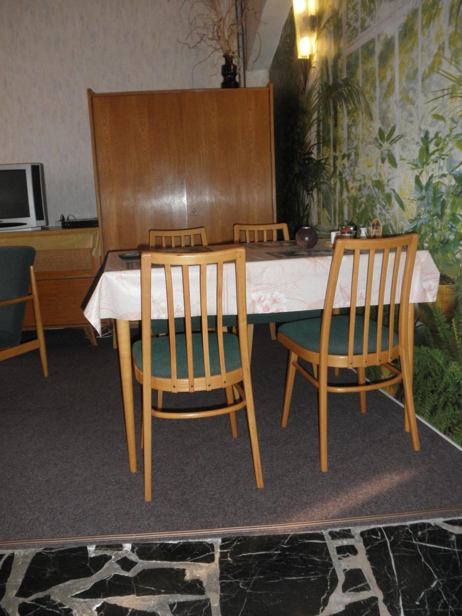 Pension U Kaktusu Karlovy Vary Ngoại thất bức ảnh