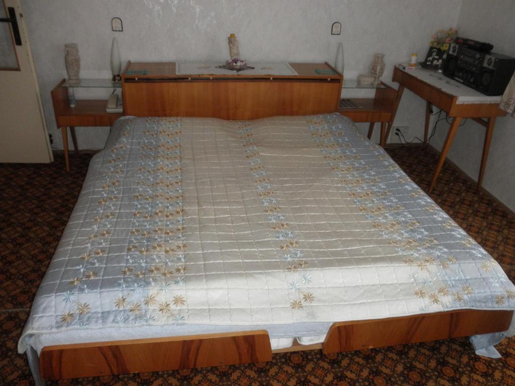 Pension U Kaktusu Karlovy Vary Phòng bức ảnh