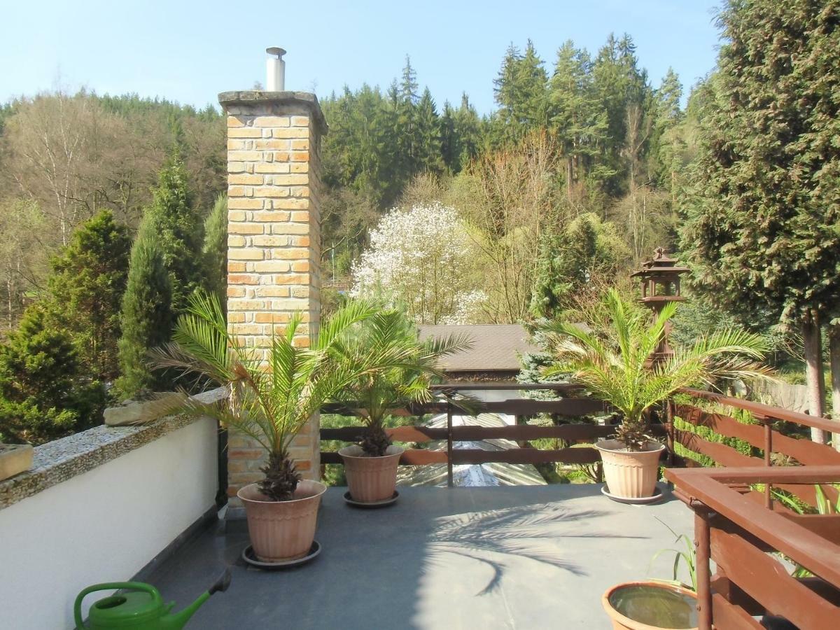 Pension U Kaktusu Karlovy Vary Ngoại thất bức ảnh